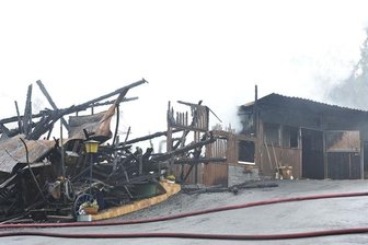 Stall in Markneukirchen in Flammen - Zwei Pferde tot -