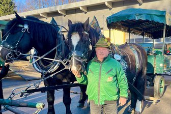 Stallmeister und seine Kaltblüter bereichern Märchenumzug in Eibenstock - Gert Opel mit den Kaltblütern Rex und Muck am Bauhof Eibenstock. Eineinhalb Stunden brauchten er und sein Team zum Anlegen der Geschirre und Anspannen der Tiere.