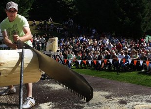 Single-Buck-Wettbewerb