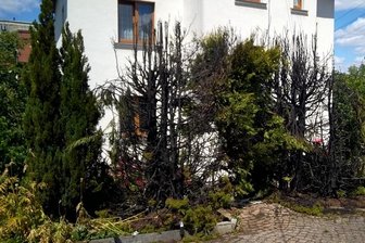 Starke Rauchentwicklung entpuppt sich als Heckenbrand -