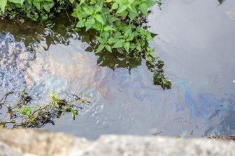 Starker Ölfilm verunreinigt Bach im Erzgebirge - Am Freitag wurde eine Verunreinigung, vermutlich durch Öl, im Kühnhaider Bach festgestellt.