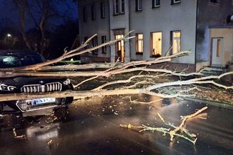 Starker Schneefall zwischen Frankenberg und Hainichen: Baum fällt auf fahrendes Auto - Am Donnerstagabend ist in Cunnersdorf ein BMW in einen umstürzenden Baum gefahren.