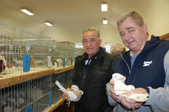 Statt Rosenmontagsumzug lockt Mühltroff Besucher aus nah und fern mit allerlei Getier und Blasmusik - Werner Frisch (links) aus Gefell und Hermann Männche aus Neugernsdorf, der Altenburger Trommeltauben erbsgelb züchtet.