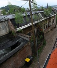 Statt Seniorenidyll noch immer Rattenresidenz - 
              <p class="artikelinhalt">Die Dächer am Anbau zum Sonnenberg hin sind eingebrochen, auf dem Hauptgebäude grünt und blüht ein Birken-Biotop. </p>
            