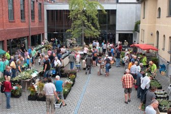 Stauden, Blumenzwiebeln und fleischfressende Pflanzen: Breites Angebot zur 44. Gebirgspflanzenbörse in Zwickau - So sah die Pflanzenbörse am August-Horch-Museum in Zwickau der Vergangenheit aus.