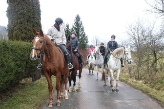 Steigende Kosten für Unterbringung und Training: Wird Reiten im Landkreis Mittelsachsen immer mehr zum Luxus? - In Nosswitz können die Preise für eine Stunde Reittraining bei zehn Euro bleiben, weil die Trainerin Cornelia von Birgelen ehrenamtlich Training gibt.