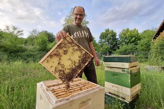 Steinpleis: Was tun, wenn sich ein Bienenschwarm in einem Baum niederlässt? - Retter des Bienenvolks: Hobbyimker Andreas Hohmuth hat die nützlichen Insekten umgesiedelt.