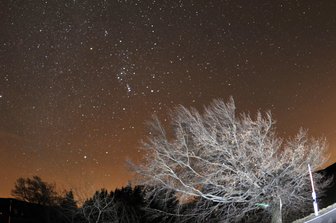 Sternschnuppen der Leoniden sichtbar -