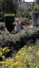 Steuer-Panne lässt Rentner schwitzen - 
              <p class="artikelinhalt">Verständnislos kratzt sich Kleingärtner Helmut Kroll am Kopf. Sein Widerspruch zur Gartenpacht ist eine unendliche Geschichte. </p>
            