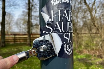 Sticker und Graffiti nehmen in Zwickau zu: Bei rechten Aufklebern greift Franziska zum Schaber - Mit einem Schaber zum Reinigen von Kochfeldern wird ein Sticker von einem Laternenmast im Park am Zwickauer Schwanenteich entfernt.