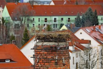 Störche erhalten in Ruppertsgrün ein komfortables Eigenheim - 
