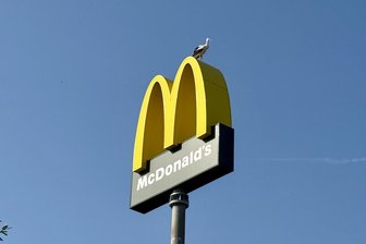 Störche machen Rast bei Fast-Food-Kette an Autobahn 72 - 