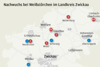 Störche: Verluste durch Futtermangel -