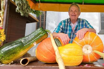 Stollberg hat die dicksten Dinger im Erzgebirge - Hereinspaziert! Rainer Drechsler und die Riesenkürbisse begrüßten die Bauernmarktbesucher. Ach ja, Monster-Zucchini waren auch dabei.