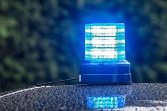 Stollberg: Pferdegespann fährt in Schaufenster -