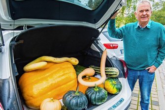 Stollberger Kürbisexperte ist über die Reaktion auf seine eigene Idee zunächst erschrocken - dann begeistert - Rainer Drechsler hat schon die ersten Kürbisse für den Bauernmarkt im Kofferraum seines Autos. Dafür hat er sein Wissen an andere weitergegeben. "Es gibt viel zu beachten", sagt er. Er selbst habe 30 Jahre gebraucht, bis es richtig geklappt hat.