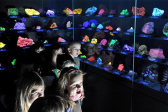 Stollen, Bausteine und Nächte im Museum: In Mittelsachsen warten am Wochenende ganz verschiedene Veranstaltungen auf Besucher - In der Terra mineralia in Freiberg sind ab sofort wieder Nächte im Museum möglich. Mit Stirnlampe und UV-Taschenlampe geht es durch die Ausstellung.