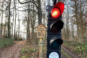 Die Ampel, die in Ringethal bei Mittweida mitten im Wald steht, wird spätestens Montag außer Betrieb genommen. Im Winter ist die Hirschkuppe nicht befahrbar. Nächstes Jahr müssen Anwohner aber noch einmal die Umleitung durch den Wald fahren.
