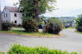Straße in Scholas bekommt neue Bitumenschicht - Die bergab führende Straße ist die Talstraße in Scholas. Deren Oberfläche wird bald saniert.