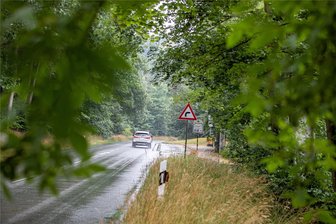 Straßenbau: Geänderte Parkplatzzufahrten an der Talsperre Pöhl - Die Staatsstraße oberhalb des Kletterwaldes ist ab Mittwoch voll gesperrt.