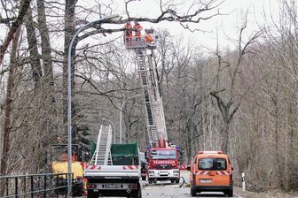Straßensperrung: Bau des Radweges zwischen Waldheim und Gebersbach beginnt - Am gesperrten Straßenabschnitt nutzt die Stadt Waldheim diese Phase für das Beschneiden von Bäumen. 
