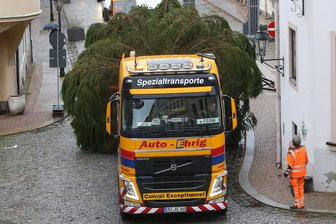 Straßensperrung und Parkverbot: Weihnachtsbaum für den Markt in Schwarzenberg kommt - Wenn der Weihnachtsbaum für den Markt angeliefert wird, gilt ein kurzzeitiges Parkverbot in der Altstadt.