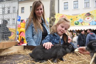 Streicheleinheiten auf dem Ostermarkt in Oelsnitz: Besucher sorgen für vollen Marktplatz - Nadine Behrendt und Tochter Lea aus Plauen ließen sich am Streichelzoo viel Zeit.