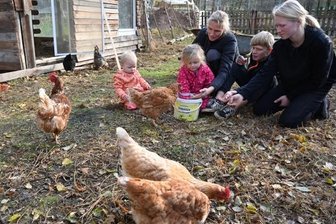 Streichelzoo statt Schlachthof: Garnsdorfer Familie rettet Tiere - Alle packen auf dem Streichelhof in Garnsdorf beim Füttern der rund 100 Hühner und 30 Hähne unterschiedlicher Rassen gemeinsam zu: Marienette (1), Mirella (3), Mutter Mandy (35), Lino (13) und Melissa (16) Naumann (von links).
