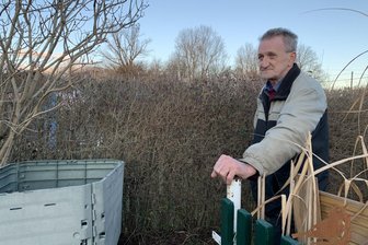 Streit im Zwickauer Kleingarten: Warum einem Rentner das Herz rast - Kleingärtner Werner Michael Grohmann soll die Ligusterhecke runterschneiden.