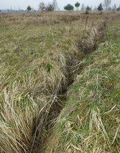 Streit um Naturschutzgebiet reißt Gräben auf - 
              <p class="artikelinhalt">Sind die Entwässerungsgräben illegal angelegt worden? Umweltexperten nicken.</p>
            