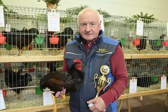 „Streitlustige Bayern“ sind der Stolz von Züchterverein im Vogtland - Vereinsmeister auf Zwerg-Rhodeländer dunkelrot wurde Dietmar Meinel.