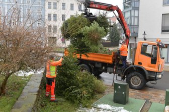 Stressfrei und kostenlos: So können Freiberger ihre Weihnachtsbäume entsorgen - An den Standorten für Altglas sammelt die Stadt Freiberg alljährlich die ausgedienten Weihnachtsbäume ein.