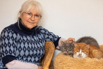 Streuner oder Freigänger? Katzen-Kenner im Vogtland klagen über falsch verstandene Tierliebe - Zwei von 108 Katzen in der Katzenhilfe Weischlitz: Christine Krause kennt die Schicksale ihrer Gäste. Einige kamen auch, weil sie von Tierfreunden „eingesammelt“ wurden - aber die Mehrzahl bringt traurigere Geschichten mit. Manche wurden ausgesetzt oder misshandelt.