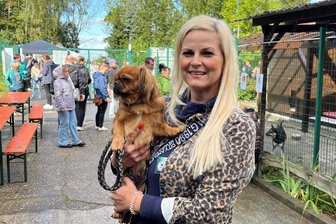 Streunersteinfest im Freiberger Tierheim: Ein Wiedersehen mit vierbeinigen Schützlingen - Die Hündin Olivia auf dem Arm von Tierheimleiterin Claudia Schubert sucht noch Anschluss. Zum Streunersteinfest gab es am Samstag aber auch Wiedersehen mit vierbeinigen Schützlingen, die ein neues Zuhause gefunden haben.