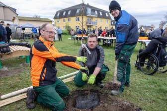 Streuobstwiese für Feste und Erholung: Don-Bosco-Azubis pflanzen acht alte Apfelsorten - Sebastian Müller und die Azubis Florian Knoll und Georg Jähne (v. l.) pflanzen einen Apfelbaum.