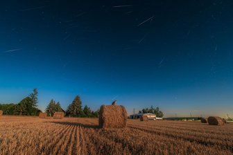 Striegistal: Meteorstrom der Perseiden erleuchtet den Nachthimmel - 