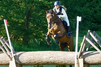 Striegistaler Reitturnier-Chefin: „Bei Hochwasser haben wir keine Chance“ - Die neue Kreismeisterin Celina Müller vom Langenstriegiser SV springt hier beim Stilgeländeritt in der Klasse E über das neu gebaute Hindernis, "die Spinne".