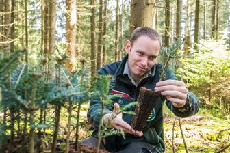 Stürme, Dürre, Schädlinge: Im Erzgebirge sieht man, wie man den Wald dagegen wappnen kann - Thomas Poschen leitet das Revier Hundshübel. Er hält eine Weißtanne, die beim Waldumbau im gesamten Forstbezirk Eibenstock eine Schlüsselrolle spielte und spielt.