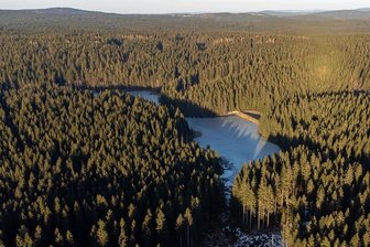 Stürme sorgen im vogtländischen Wald für viel Arbeit - Zwar haben die jüngsten Winterstürme keinen großflächigen Windbruch verursacht, aber für umgestürzte Fichten in den Nassstandorten rund um Vogtlandsee und Hochmoor Grünheide gesorgt. Die Aufräumarbeiten im Staatswald-Revier Grünheide laufen auf Hochtouren.