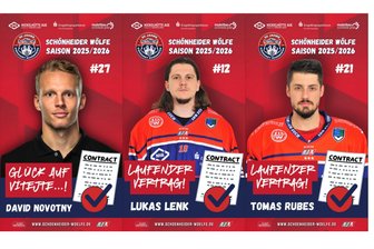 Stürmer überschreitet erstmals die Grenze: Eishockey-Wölfe vermelden spannenden Neuzugang - David Novotny, Lukas Lenk und Tomas Rubes (v. l.) bilden das Herzstück der Schönheider Offensive.