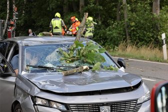 Sturm bei Wüstenbrand: Ast durchbohrt Windschutzscheibe - Ein 13 Zentimeter starker Ast ist am Donnerstagnachmittag bei Wüstenbrand auf ein fahrendes Auto gestürzt und hat die Frontscheibe zerschlagen.