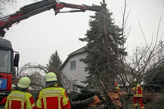 Sturm-Bilanz aus Mittelsachsen: Tausende ohne Strom - Die Freiwillige Feuerwehr Saidenbach musste einen Baum auf einem Privatgrundstück in Mittelsaida beseitigen. Zuvor war bereits ein anderer Baum auf das Dach des Hauses gefallen. 