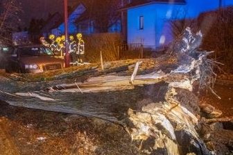 Sturm bringt mehrere Bäume zu Fall - Auf den Niederwürschnitzer Querweg war in der Nacht zum Donnerstag ein Baum gestürzt. 