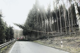 Sturm fällt Bäume in Erdmannsdorf - Bäume stürzten am Donnerstag auf die B180 in Erdmanndorf.