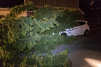 Sturm im Erzgebirge: Feuerwehr musste in der Nacht einige Male ausrücken -