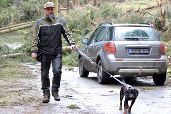 Sturm: Tausende Kubikmeter Holz im Waldgebiet Lichtenberg gebrochen - Lichtenbergs Revierförster Thomas Schulz begutachtet mit seiner Schwarzwildbracke Aspe im Waldgebiet an der Teichhausbucht nahe der Talsperre Lichtenberg die Schäden, welche die drei Stürme angerichtet haben, die Ende Februar über die Region zogen.