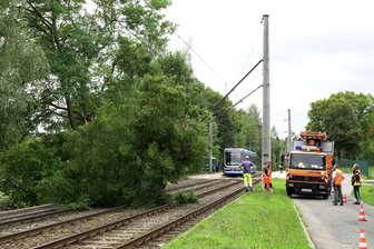 Auf der Linie 1 stürtze ein Baum auf die Gleise.