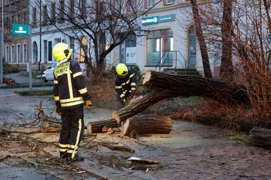 Dutzende Einsätze musste die Feuerwehr in Chemnitz am Donnerstagmorgen bewältigen. Oft ging es dabei um umgestürzte Bäume.