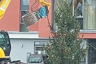 Sturmböe fegt Baum auf den Fußweg - Zum Glück ist niemand zu Schaden gekommen: Mit Hilfe eines Baggers wurde der umgestürzte Weihnachtsbaum wieder aufgestellt.