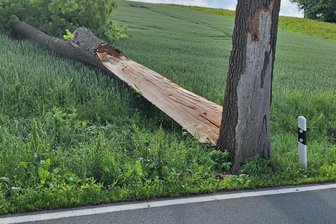 Sturmböe zerstört Esche an Staatsstraße 209 bei Neuhausen - Eine Sturmböe hat am Montag an der Straße von Neuhausen nach Sayda eine Esche zerteilt.